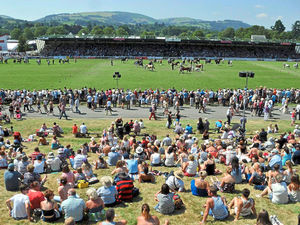Supporting image for story: Food poisoning investigation linked to milk sold at Royal Welsh Show