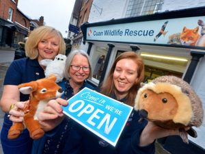 Supporting image for story: Shropshire wildlife rescue centre opens second charity shop in Shrewsbury