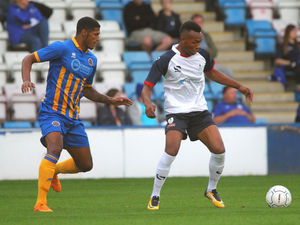 Supporting image for story: AFC Telford to face Shrewsbury Town in pre-season friendly