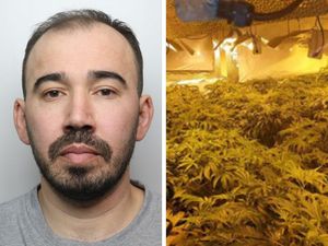 Supporting image for story: Jailed: Cannabis gardener tried to run from police after they knocked on front door