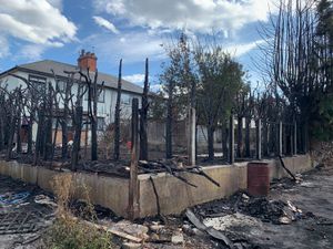 Supporting image for story: 50 conifer trees were set alight in a fire in Tividale due to garden incinerator error