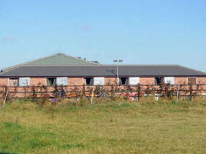 Supporting image for story: Plea to keep stables complex built illegally