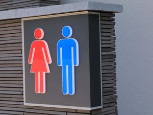 Supporting image for story: Engineer used ‘secret’ toilet after trans colleague encounter, tribunal told