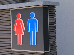 Supporting image for story: Engineer used ‘secret’ toilet after trans colleague encounter, tribunal told