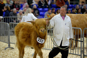 Record numbers of livestock were on display Staffordshire County Show