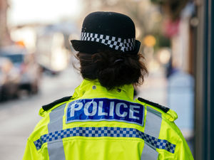 Supporting image for story: Life experience and training are essential