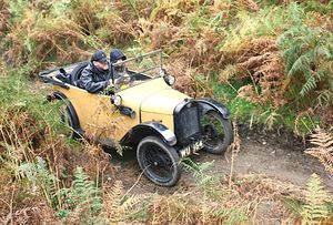 Blending into the autumnal colours 