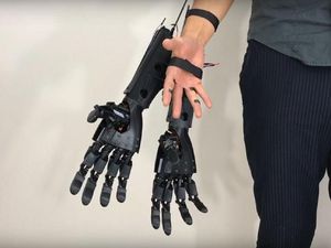Supporting image for story: These extra robotic hands have been created to help with multitasking