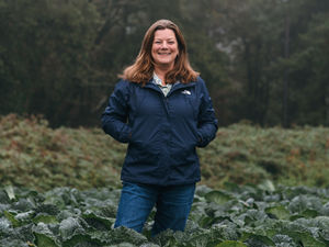 Supporting image for story: Food production and future of rural businesses at risk if farming schemes fail, new poll warns