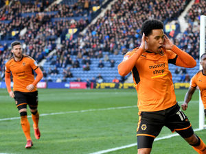 Supporting image for story: Preston 1 Wolves 1 – Report and pictures