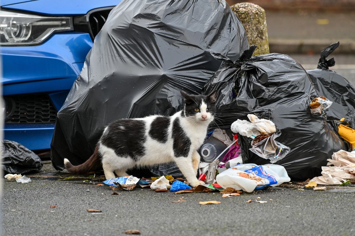 West Midlands residents who occupy Channel 4s Benefits Street react to Rachel Reeves Budget