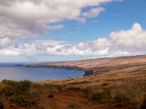 Supporting image for story: Pirates Of The Caribbean star Tamayo Perry dies after shark attack