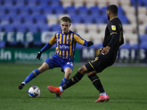 Supporting image for story: Rochdale v Shrewsbury - Match preview 