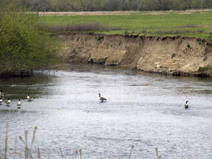 Supporting image for story: Shropshire water levels worse than drought of 1976