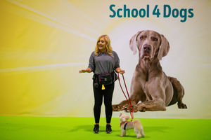 The School 4 Dogs demonstrations at the National Pet Show at the NEC, Birmingham. PA Photo. Picture date: Sunday November 3, 2019.  Photo credit should read: Jacob King/PA Wire.