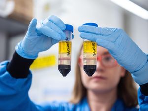 Supporting image for story: British coronavirus jab is ‘vaccine for the world’