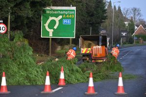 A fallen tree on the A449 in Wolverhampton caused disruption on the roads on Friday morning