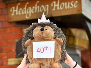 Supporting image for story: A very spiky 40th birthday to Shropshire-based hedgehog society