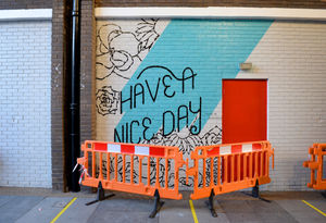 The murals have divided opinion, with some people liking them and others calling them boring