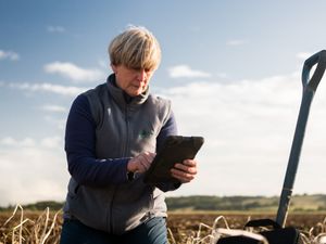 Supporting image for story: App to support farmers monitoring potato crop performance 