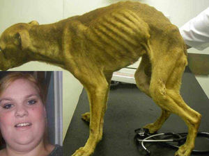 Supporting image for story: Woman jailed after dogs starved in 'one of worst' cruelty cases seen by court