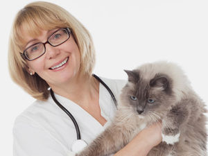 Supporting image for story: Profits and turnover grow for vets group CVS