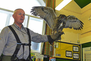 Battlefield Falconry Centre