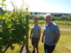 Supporting image for story: Multi-million pound investment at Shrewsbury vineyard to create 20 new jobs 
