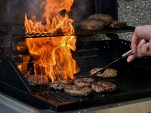 Supporting image for story: Shropshire Chamber of Commerce hosting a summer BBQ