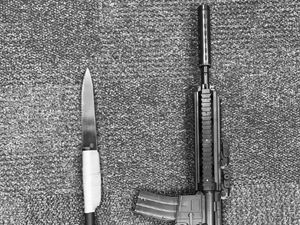 Supporting image for story: Weapons seized by police in Cannock
