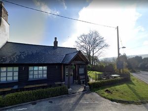 Supporting image for story: Holidaymaker's rescue dog at risk of being destroyed after it bit pensioner at pub