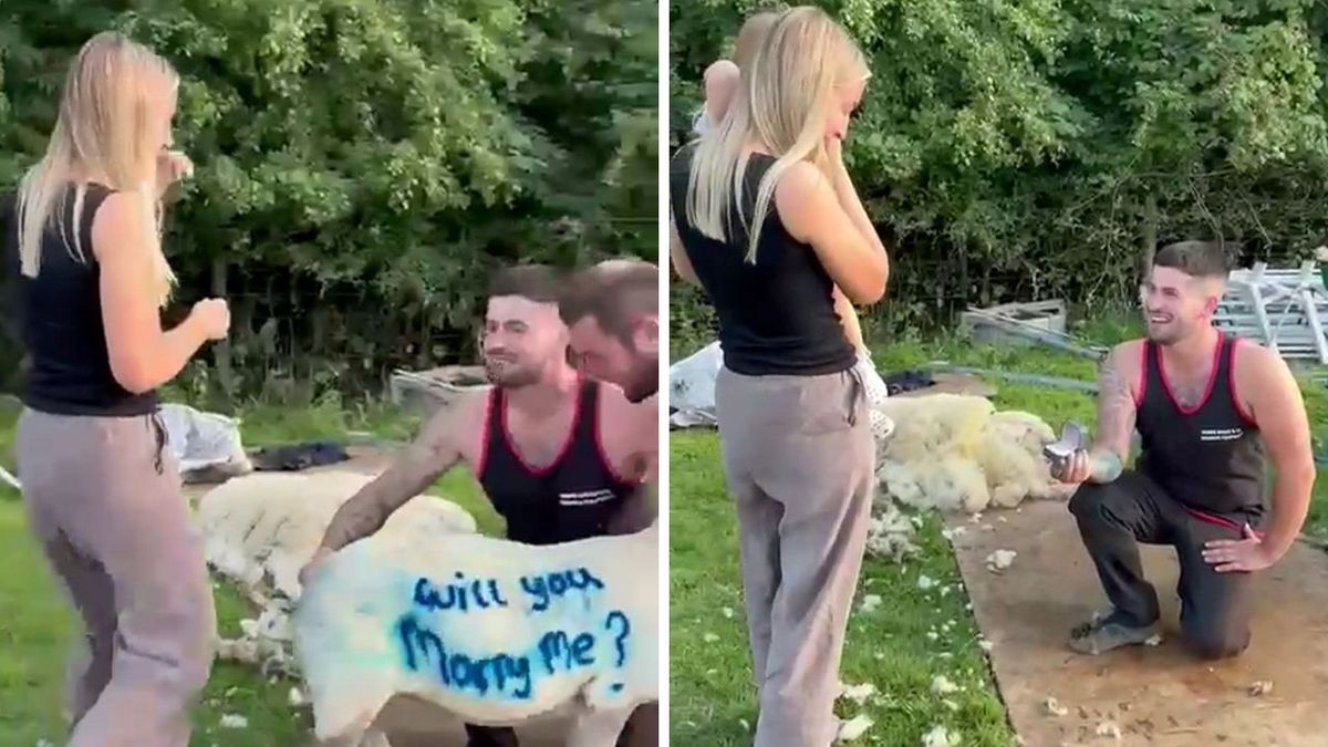 Moment West Midlands farmer proposes to girlfriend with spray-painted will you marry me? message on a sheep