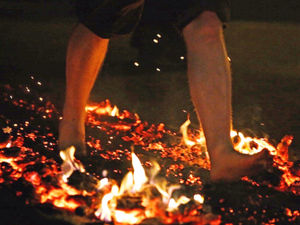 Supporting image for story: Fundraisers needed to take on barefoot firewalk in support of needy cats