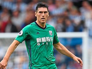 Supporting image for story: West Brom boss Tony Pulis backs Gareth Barry to star for some time yet