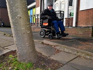 Supporting image for story: 'I'm a wheelchair user in Shropshire and I fear tripping on pavements due to a particularly bad hazard from local trees'