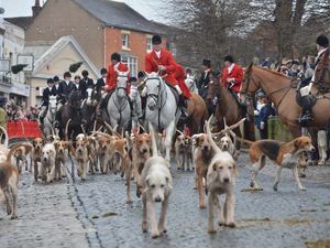 Supporting image for story: Fox-hunting fans in Shropshire call for Tory support
