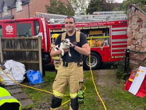 Supporting image for story: Fire crews save two dogs from smoke-logged kitchen after cardboard left on hob