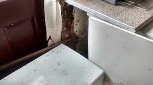 Where Lucky had been hidden