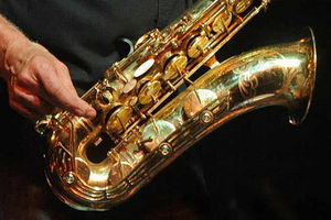 Supporting image for story: Feast of music heading to Shropshire, Powys and Worcestershire