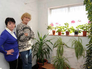 Supporting image for story: Tenant in row over carpet and plant pots