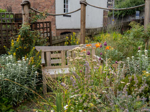 Part of Knighton's Wales in Bloom entry