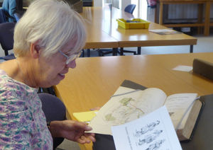 Supporting image for story