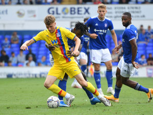 Supporting image for story: Forest Green vs Shrewsbury - Match preview 