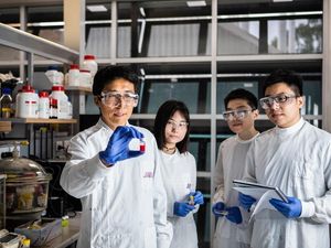 Supporting image for story: ‘British weather proof’ solar technology developed by scientists