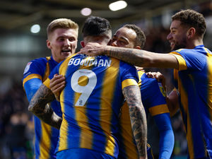 Supporting image for story: Shrewsbury 2-1 Forest Green Rovers - player ratings