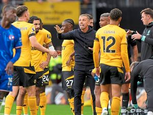 Supporting image for story: EFL Cup: Wolves v Burnley - Cup offers chance to kick-start season