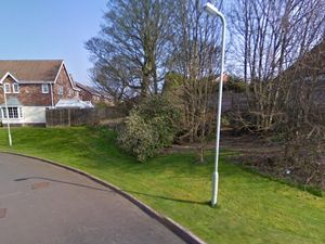 Supporting image for story: Planning inspector to rule on proposal to build home on overgrown land in Telford