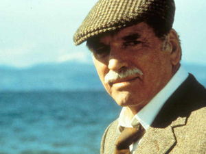 Supporting image for story: Local Hero special