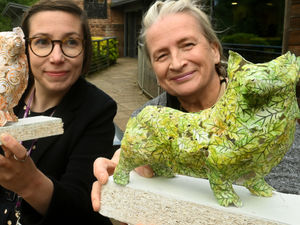 Supporting image for story: Sneak peek at Queen Elizabeth II Corgi sculptures coming to Walsall Arboretum