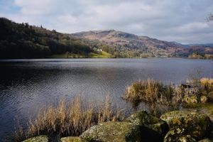 Supporting image for story